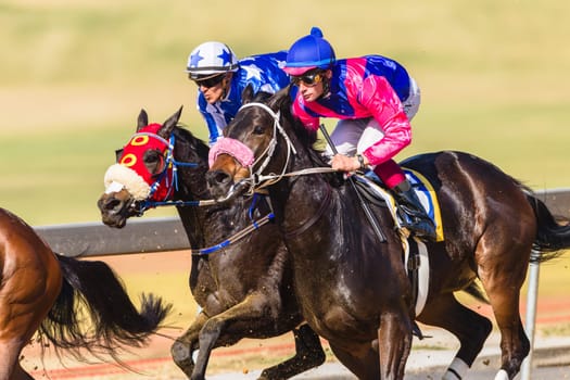 Horse racing closeup photo action of horses jockeys colors at Greyville racecouse sand and grass for Durban July vodacom cup.