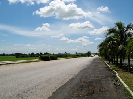 Abandoned asphalt road through the natural landscape of Cuba.