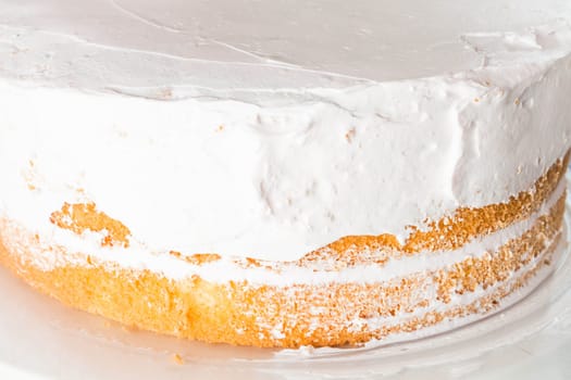 Vanilla sponge cake decorate with whipped cream