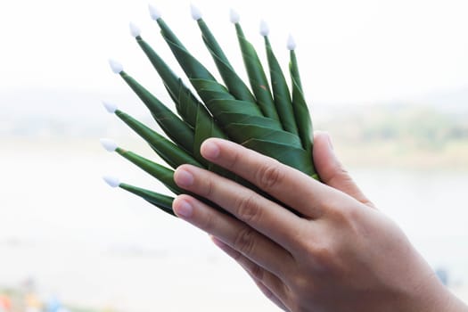Hands pay respect rice offering to natural surroundings