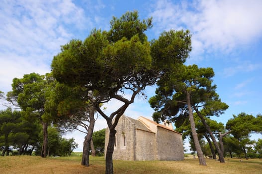 Old church in the pine forest