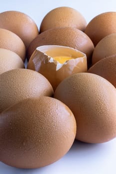 Egg yolk in Broken raw chicken eggshell in the among of Fresh chicken egg (Hen egg) on white background. Natural organic fresh eggs for healthy food, use it as your Space for text, Design, Wallpaper and Poster, Selective focus.