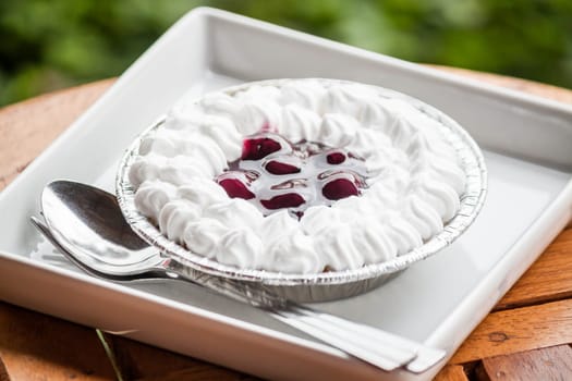 Blueberries cheese pie with whipped cream on white plate
