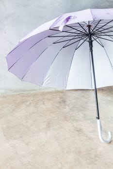 Violet silver bronze uv protection umbrella on the floor
