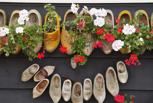 Clogs - shoes on a wooden wall with flowers. One of the symbols of the Netherlands.