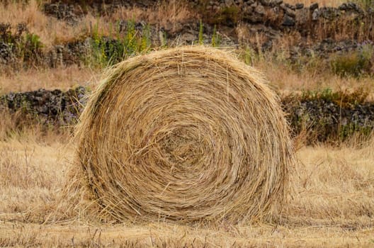 Hay Bale In The Foreground Of Rural Field