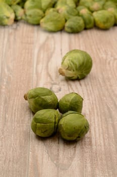 Fresh sprouts on a rustic wooden table