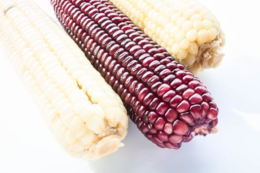 Violet and yellow boiled corn cobs isolated on white background, stock photo