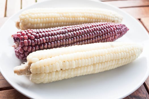 Vegetarian break with boiled corn cobs, stock photo
