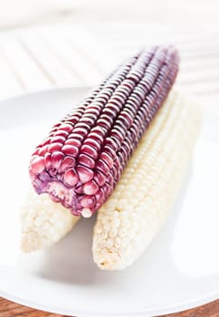 Violet and yellow corn cobs boiled serving on the table, stock photo