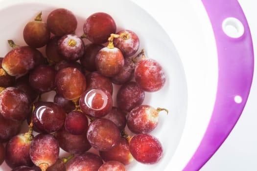 Cleaning fresh grape by water before consume, stock photo
