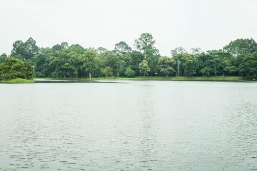 Non pollution area in the park, stock photo