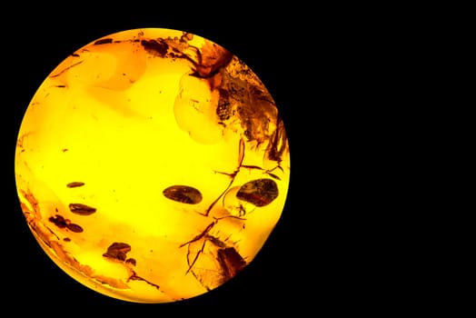 Amber with insect inclusion.