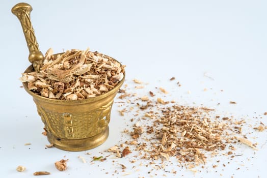 Hydrangea root