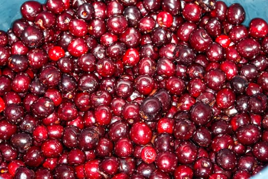 Cherries
