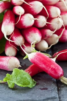Fresh radishes in Buendel on slate slab