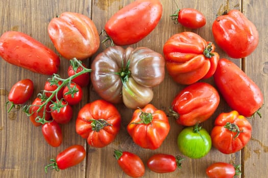 Selection of fresh ripe tomatoes of different varieties