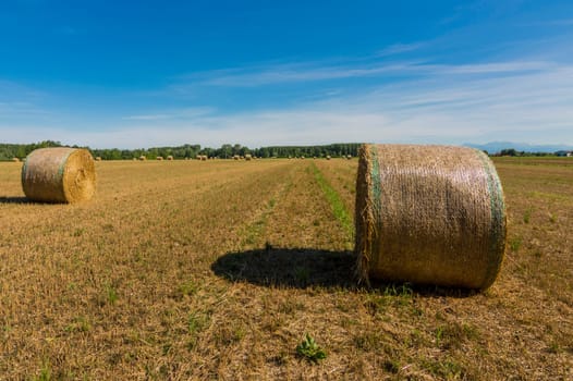 Hay bales