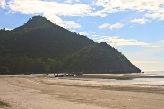 beautiful beach and tropical sea in summer