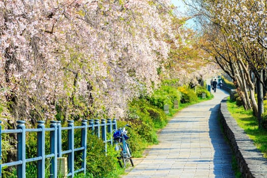 Kyoto, Japan - April 12, 2013