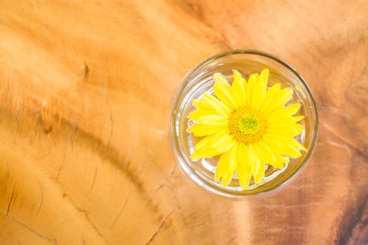 Relax background of yellow flower, stock photo