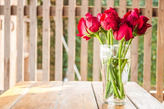 Morning sun shining on red roses vase, stock photo