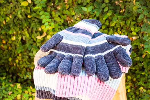Knit wool gloves and scarf, stock photo