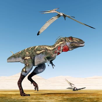 Computer-generated 3D illustration with the dinosaur Nanotyrannus and the flying dinosaur Pteranodon