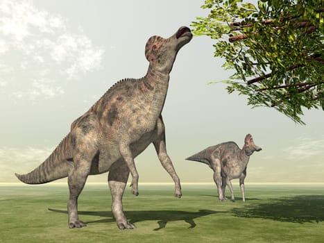 Computer-generated 3D illustration with the dinosaur Corythosaurus