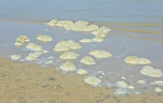 Dirty sea foam on beach