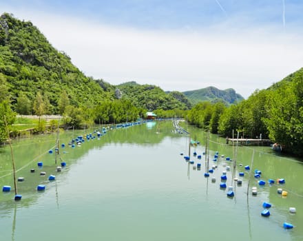 Shrimp farm along limestone mountains, Thailand