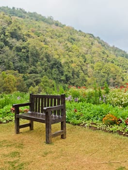 Garden scene with bench