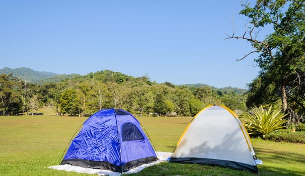 Forest camping tent
