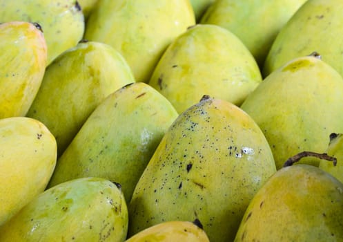 Mango, native tropical fruit to the South Asia