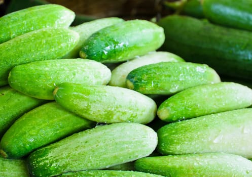 Cucumber for sale at fresh market