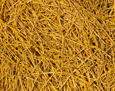 Golden straw background