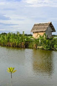 Little Nupa Palm leaves hut in aquaculture, Thailand