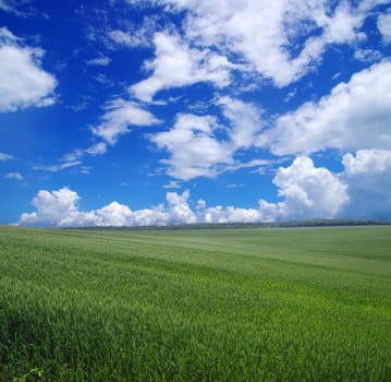 green field and blue sky