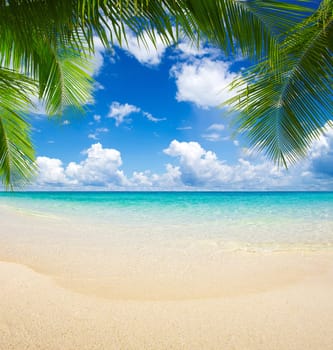 beautiful beach and tropical sea