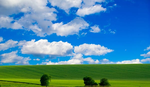 field on a background of the blue sky