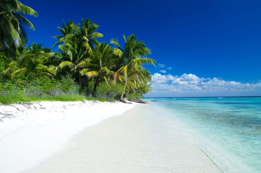 sea beach blue sky sand sun daylight relaxation landscape