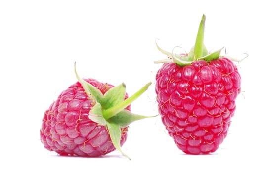 fresh raspberry closeup isolated on white background