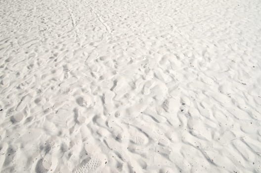Close up shot of coral sand