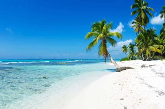 beautiful beach and tropical sea