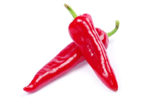 red hot chili pepper on white