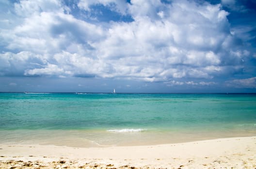 tropical sea under the blue sky