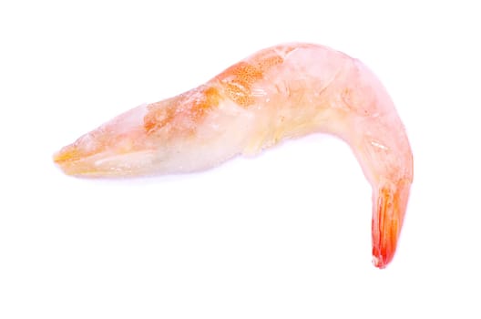 shrimp isolated on a white background