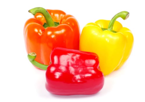Colored  pepper isolated on a white background