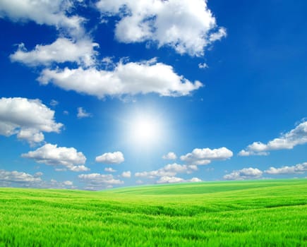 field on a background of the blue sky