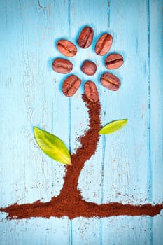 Coffee plant